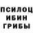 Псилоцибиновые грибы мухоморы Gif Got