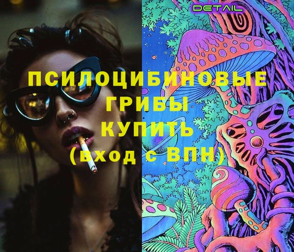 бошки Горнозаводск
