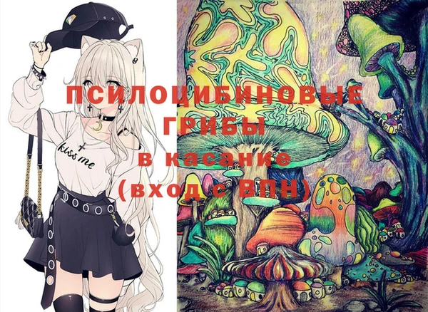 гашик Горняк