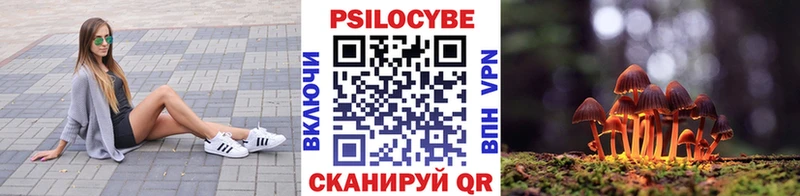 Псилоцибиновые грибы мухоморы  Купить где  Кизилюрт 